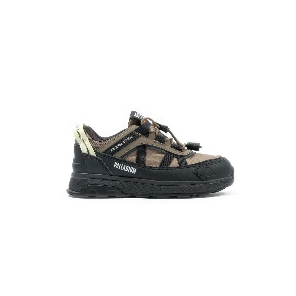 PALLADIUM picture