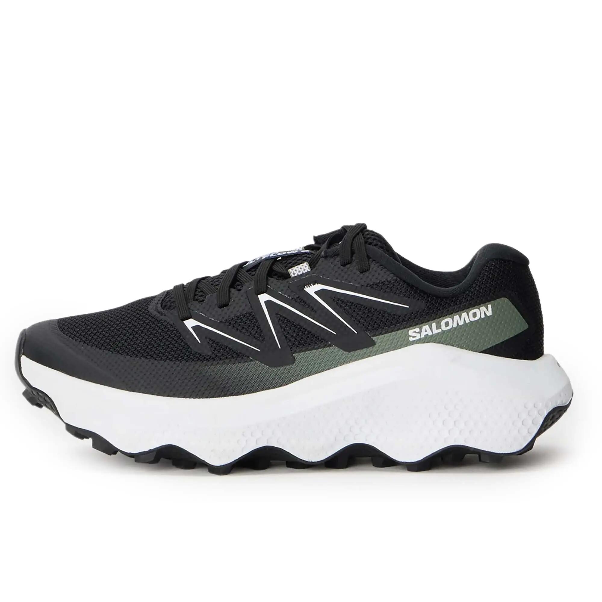 SALOMON picture