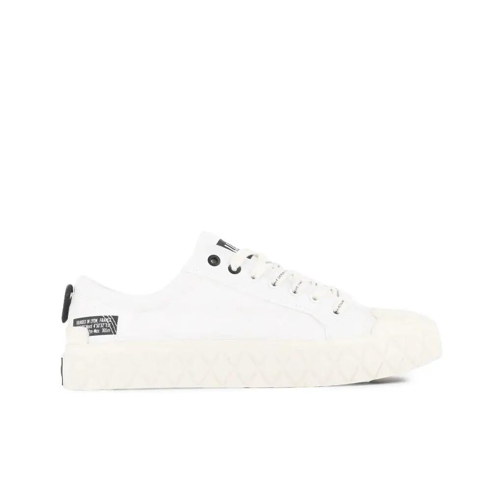 PALLADIUM picture