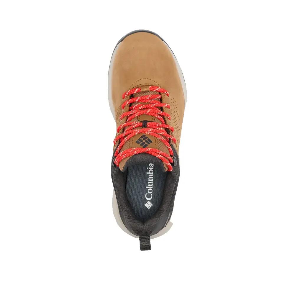 Buty turystyczne Columbia Newton Nimble Ltr Marron 8/10