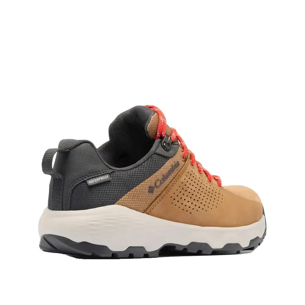 Buty turystyczne Columbia Newton Nimble Ltr Marron 5/10
