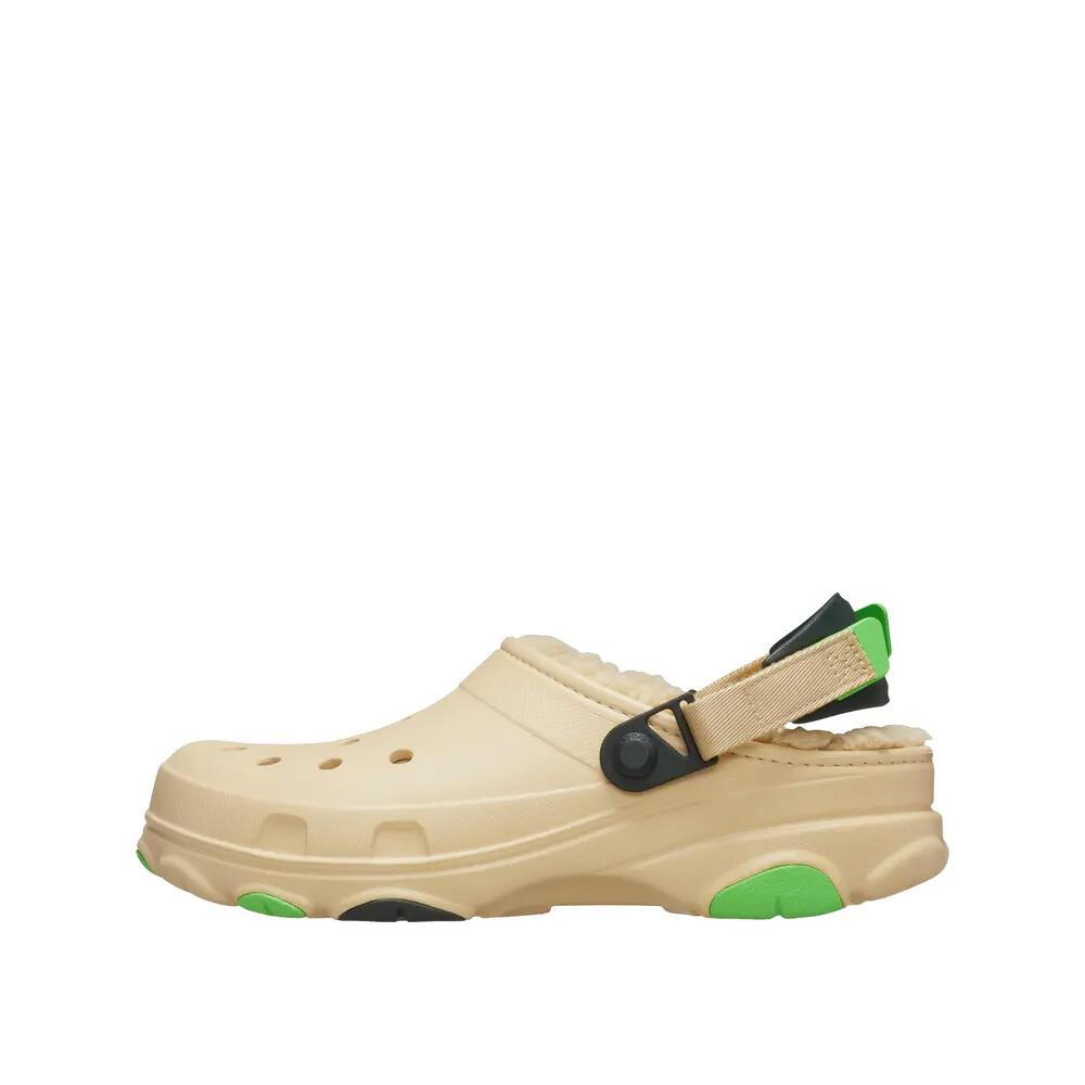 CROCS picture