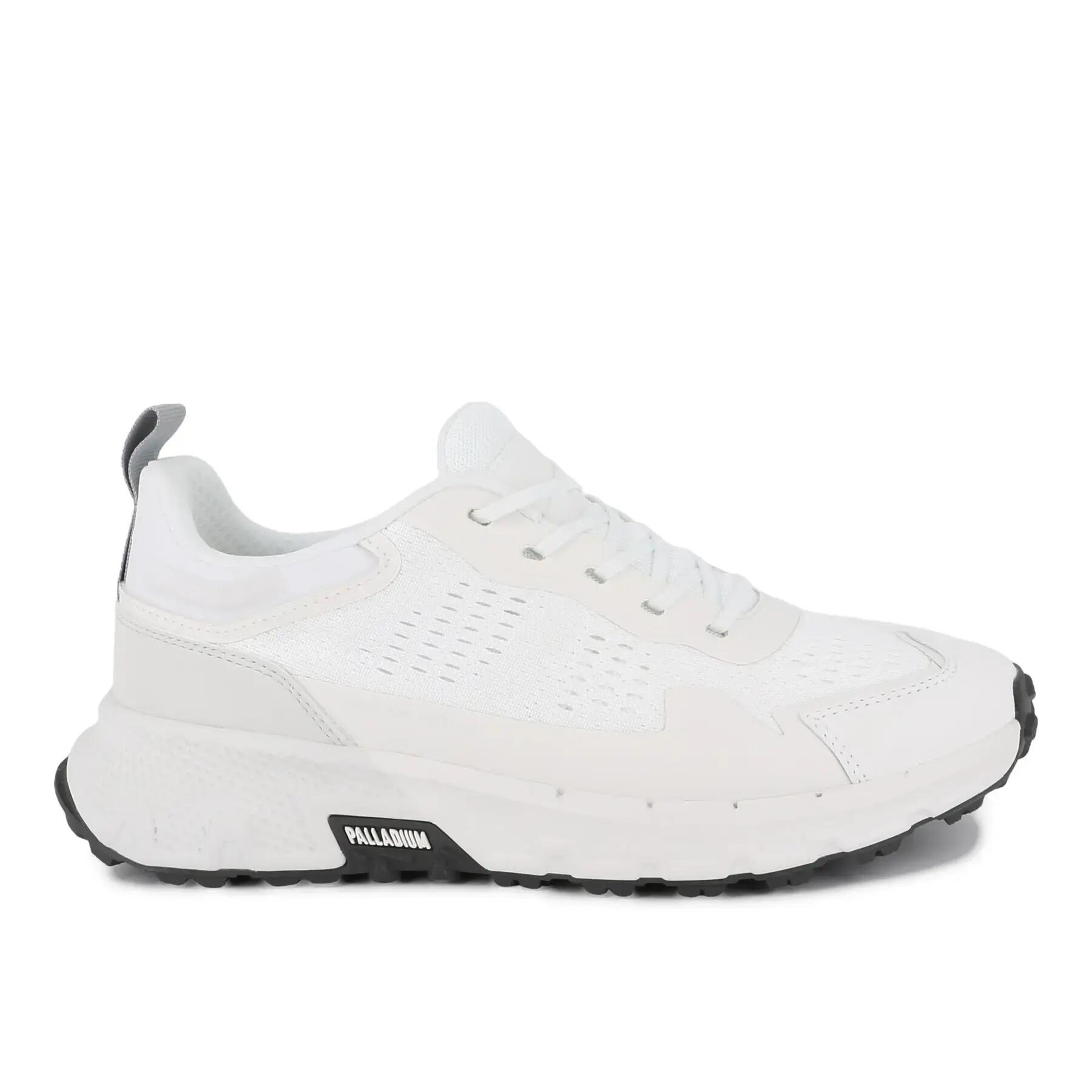 PALLADIUM picture
