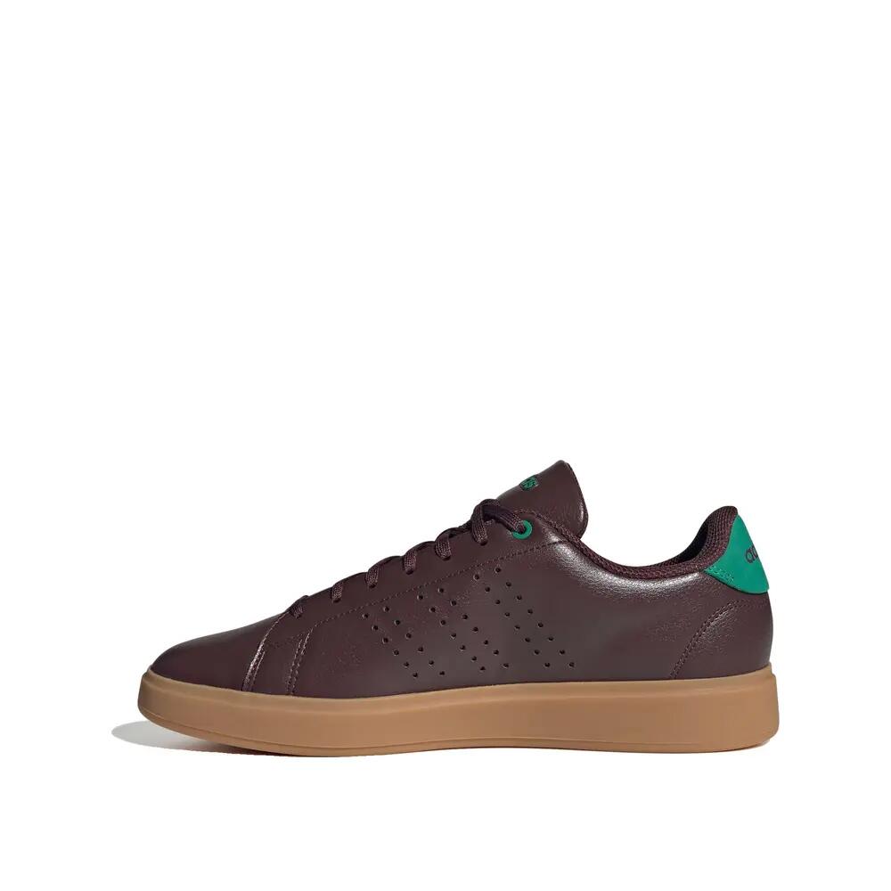 Zapatos adidas Advantage 2.0 Marron/Verde 5/6