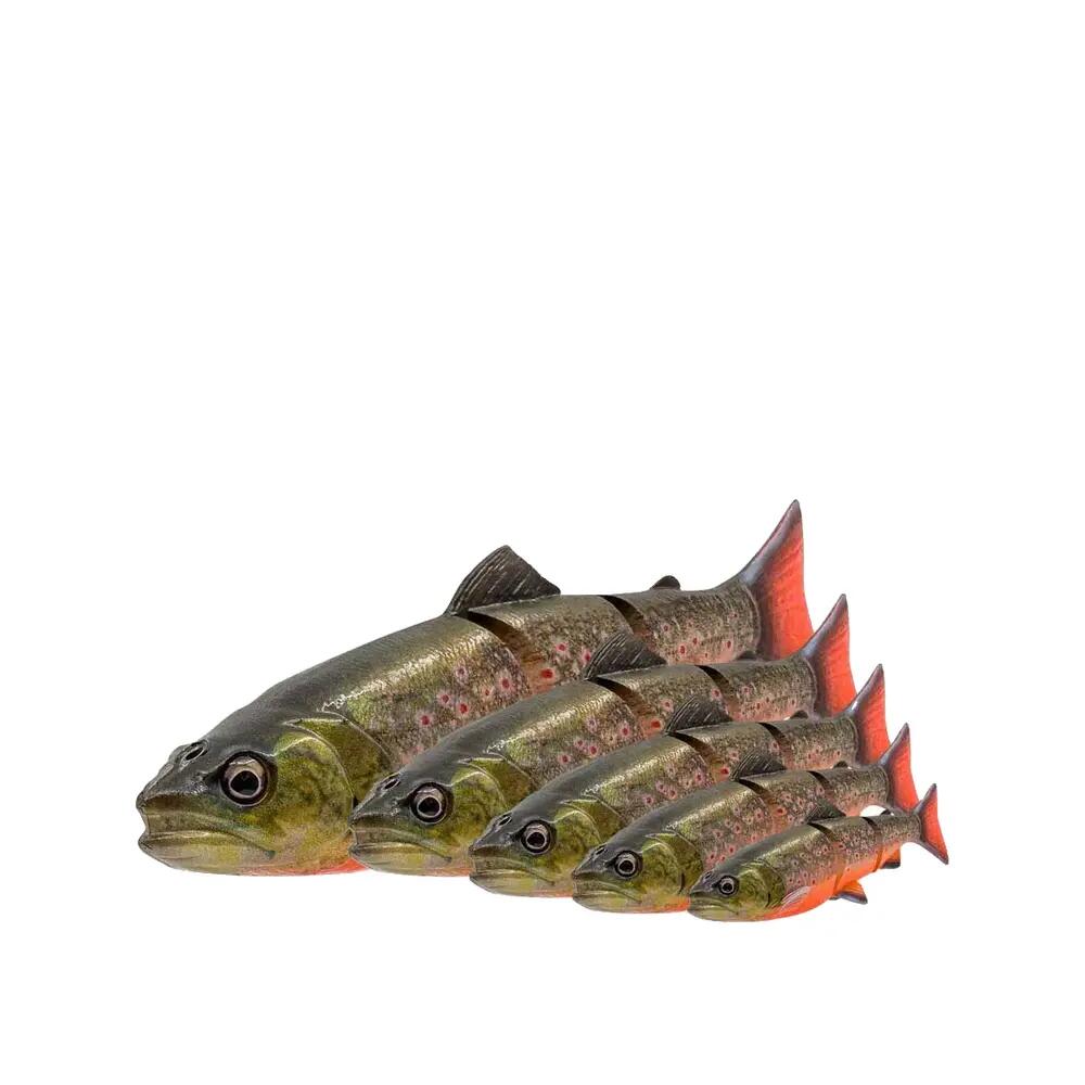 Leurre Savage Gear 3D Line Thru Trota 4/4