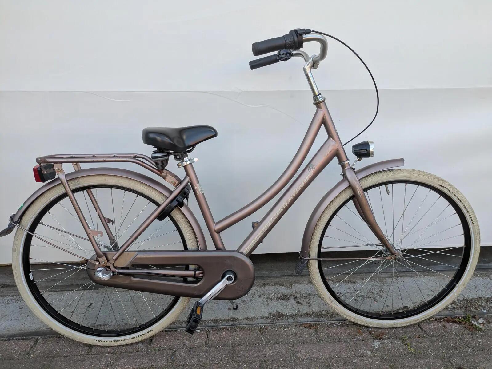 BATAVUS picture