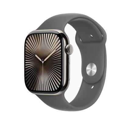 Montre connectée Apple Series 10 en titane naturel Gris