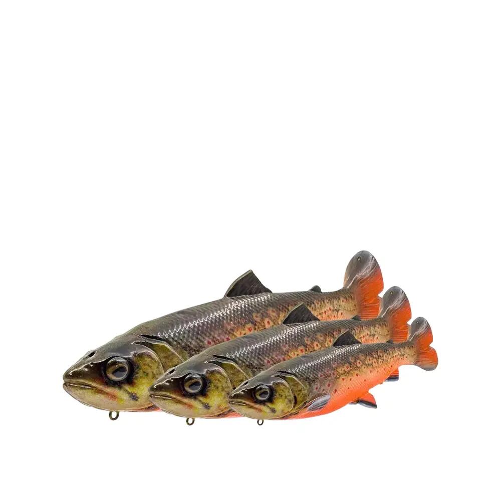 Appât souple Savage Gear 3D Line Thru Pulsetail Forel 5/5