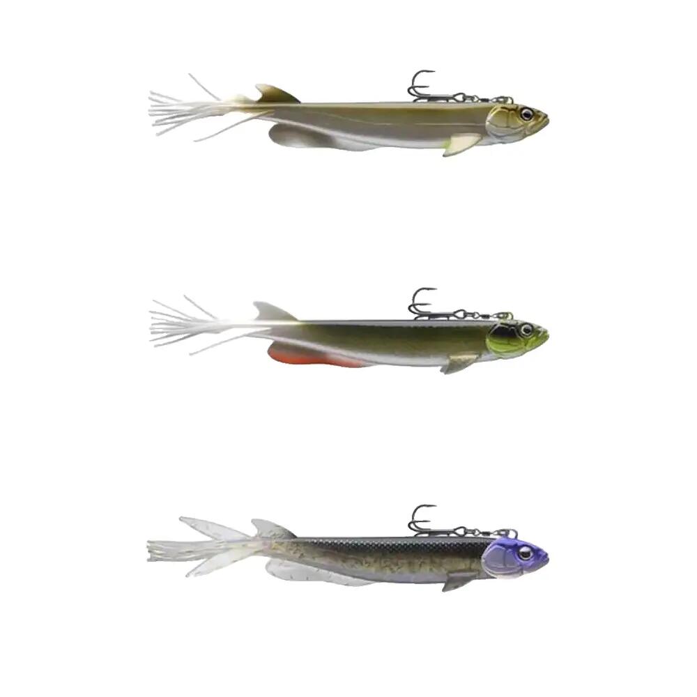 DAIWA picture