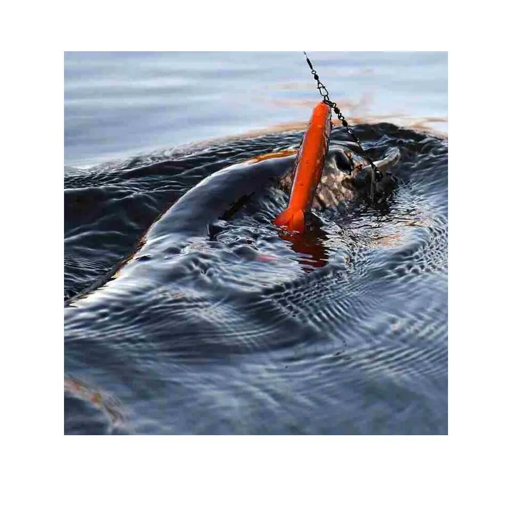 Appât souple Savage Gear 3D Whitefish Shad 4/7