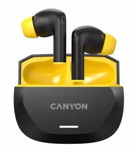 CANYON picture