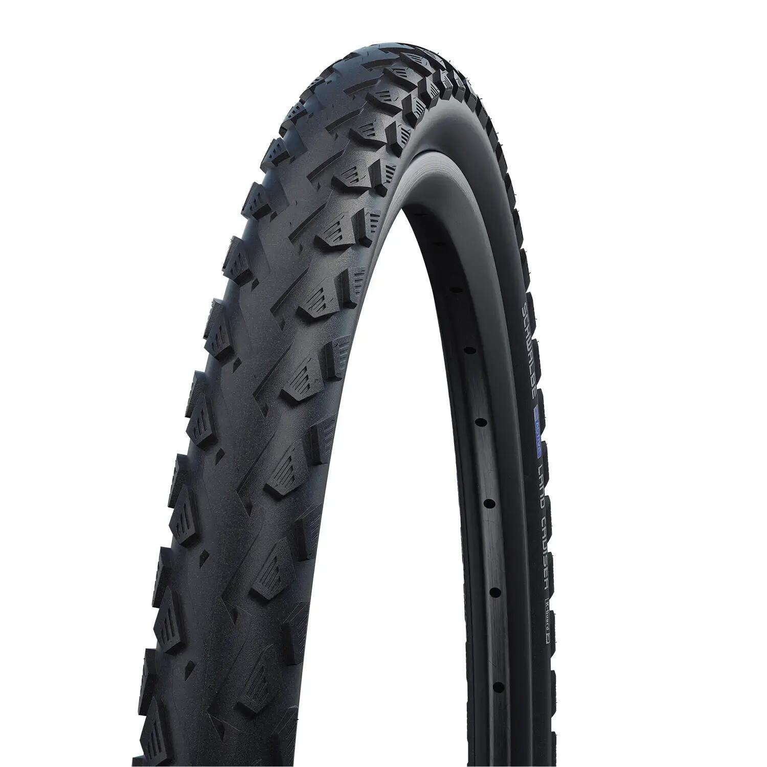 SCHWALBE picture
