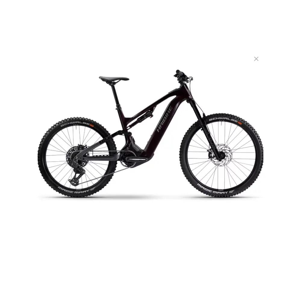 HAIBIKE picture