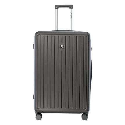 Valise Iguana Limo L