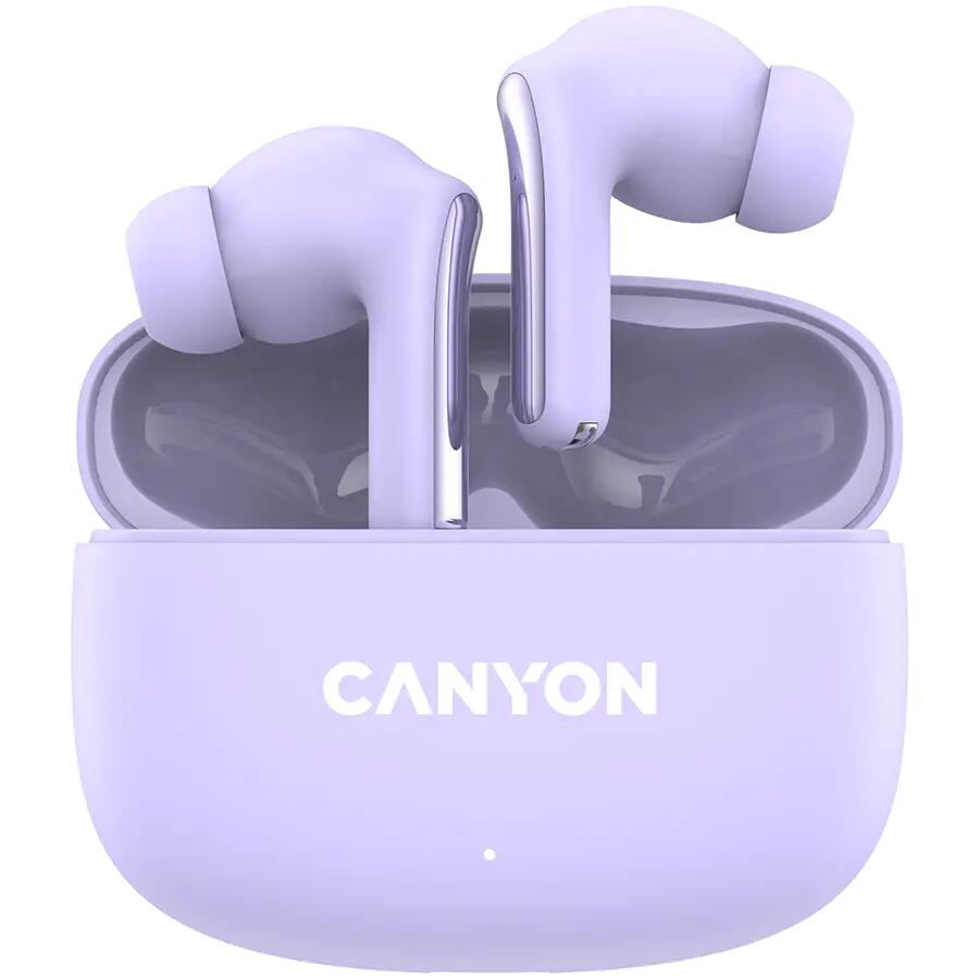 CANYON picture