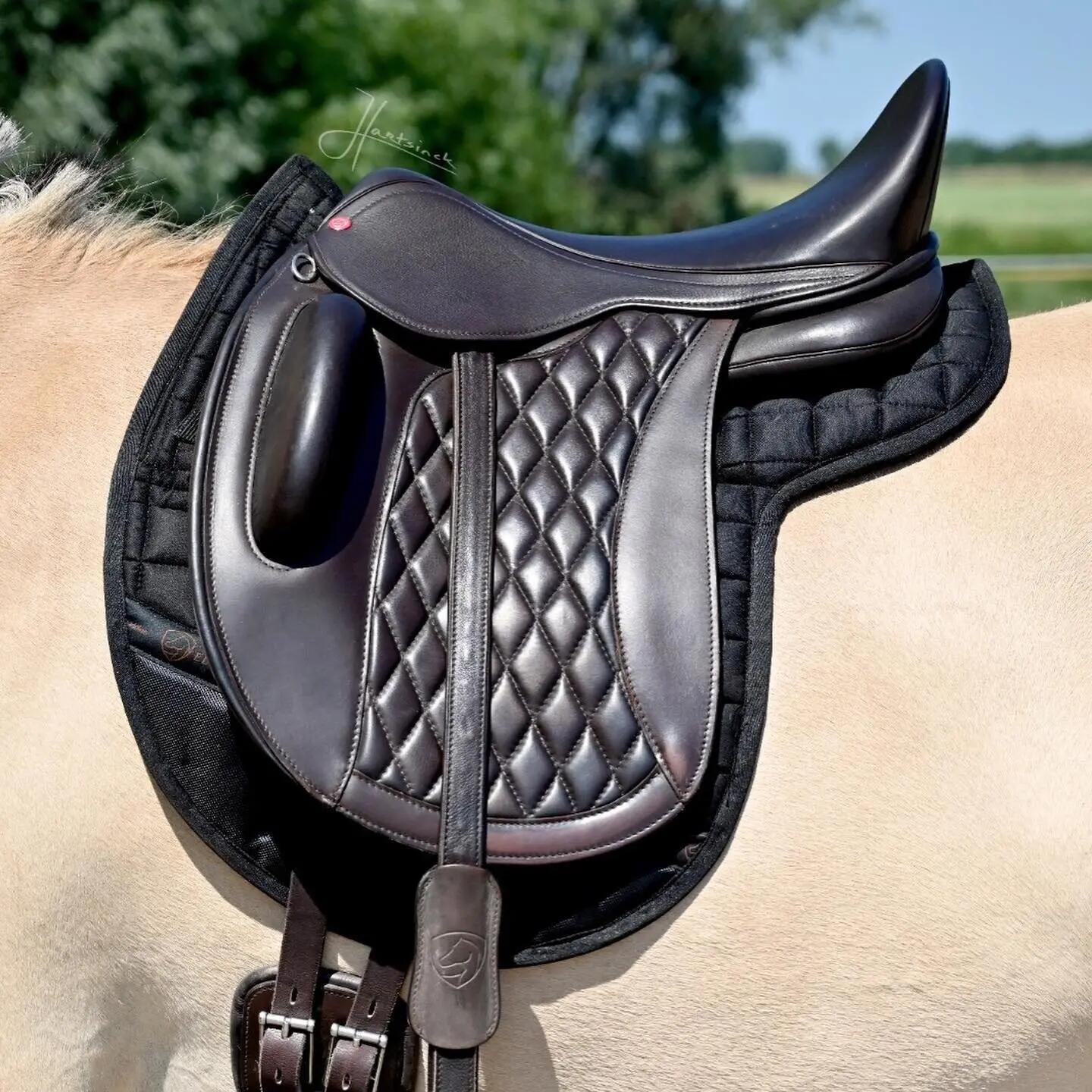 EDIX SADDLES picture