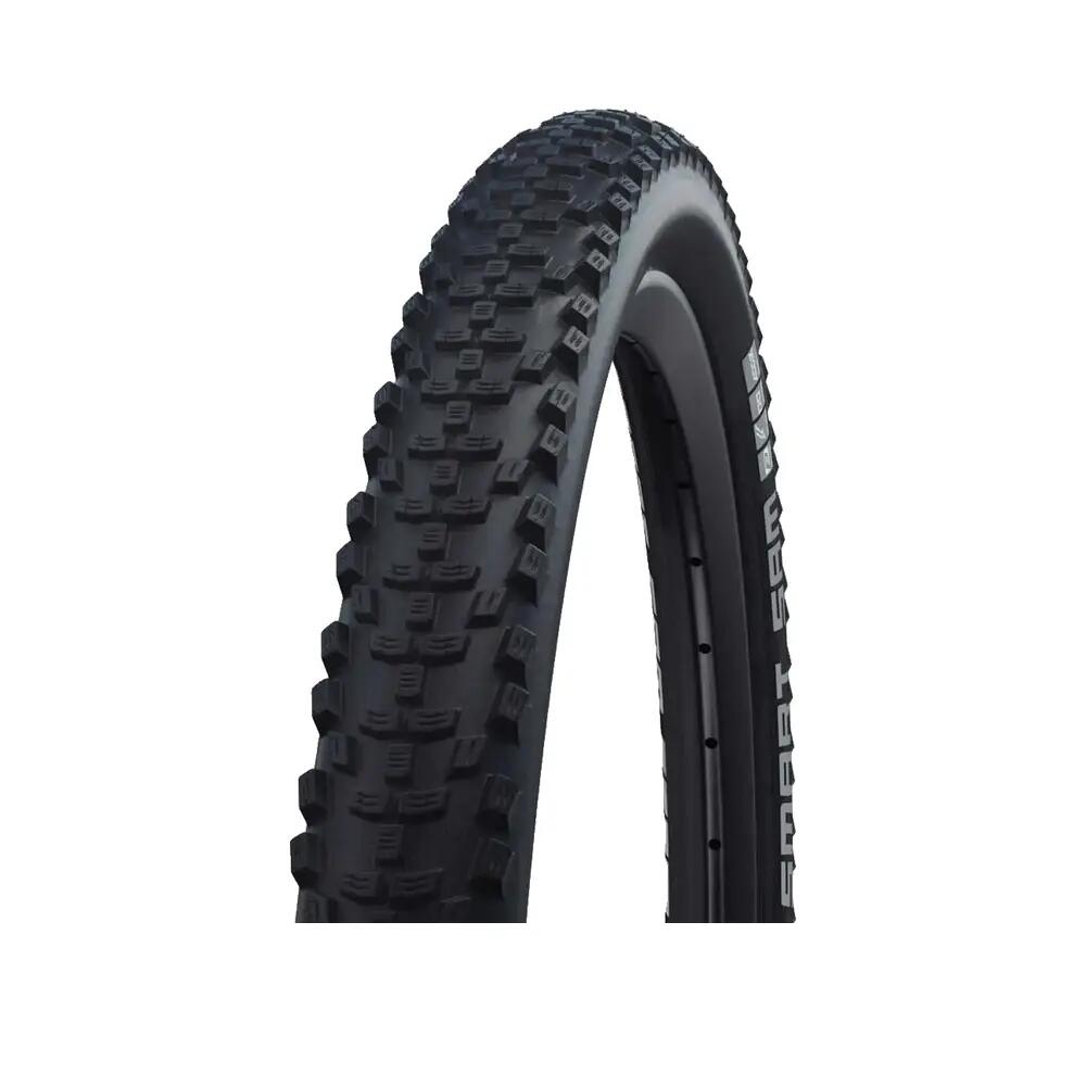 SCHWALBE picture