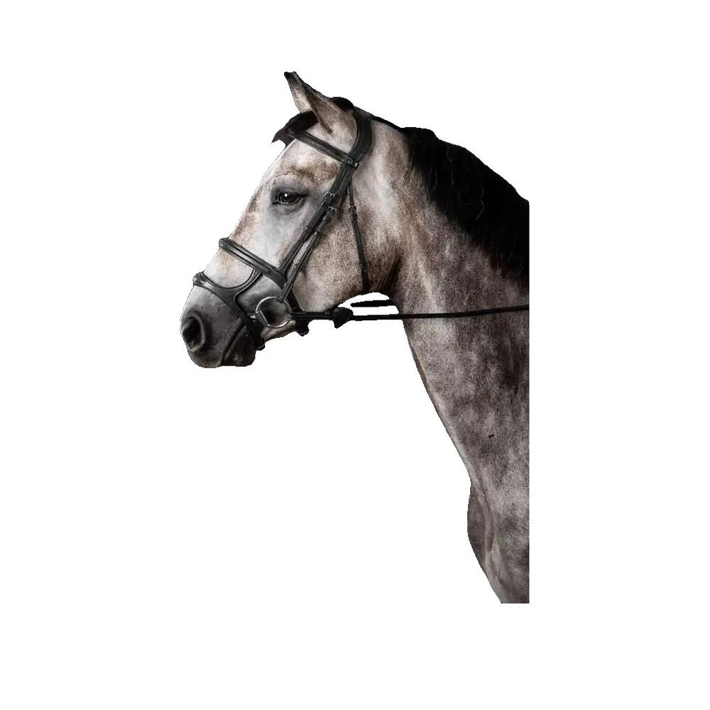 Bridon Dyon Double mors Noir 2/2
