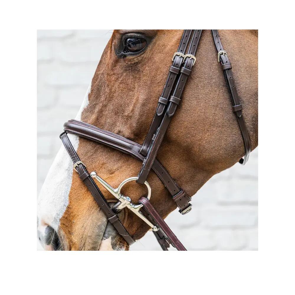 Bridon Dyon Medium Flash Marron 4/4