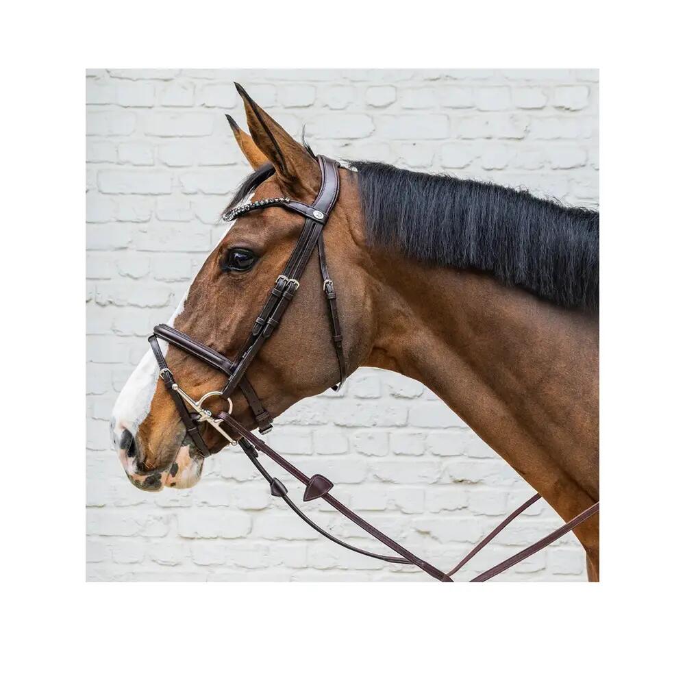 Bridon Dyon Medium Flash Marron 3/4