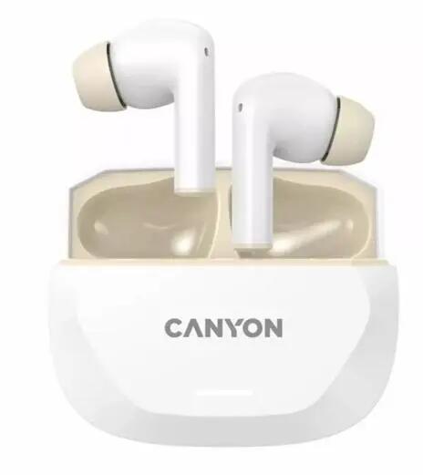 CANYON picture