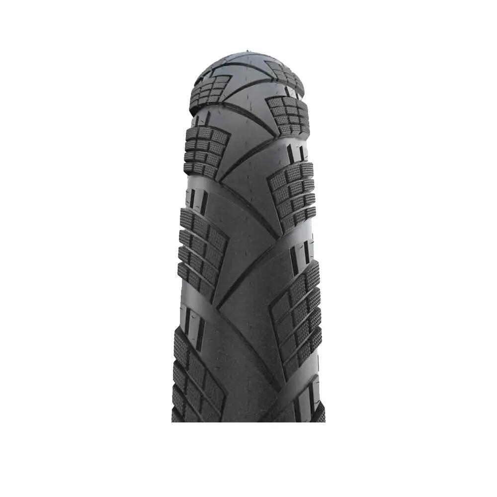 SCHWALBE picture