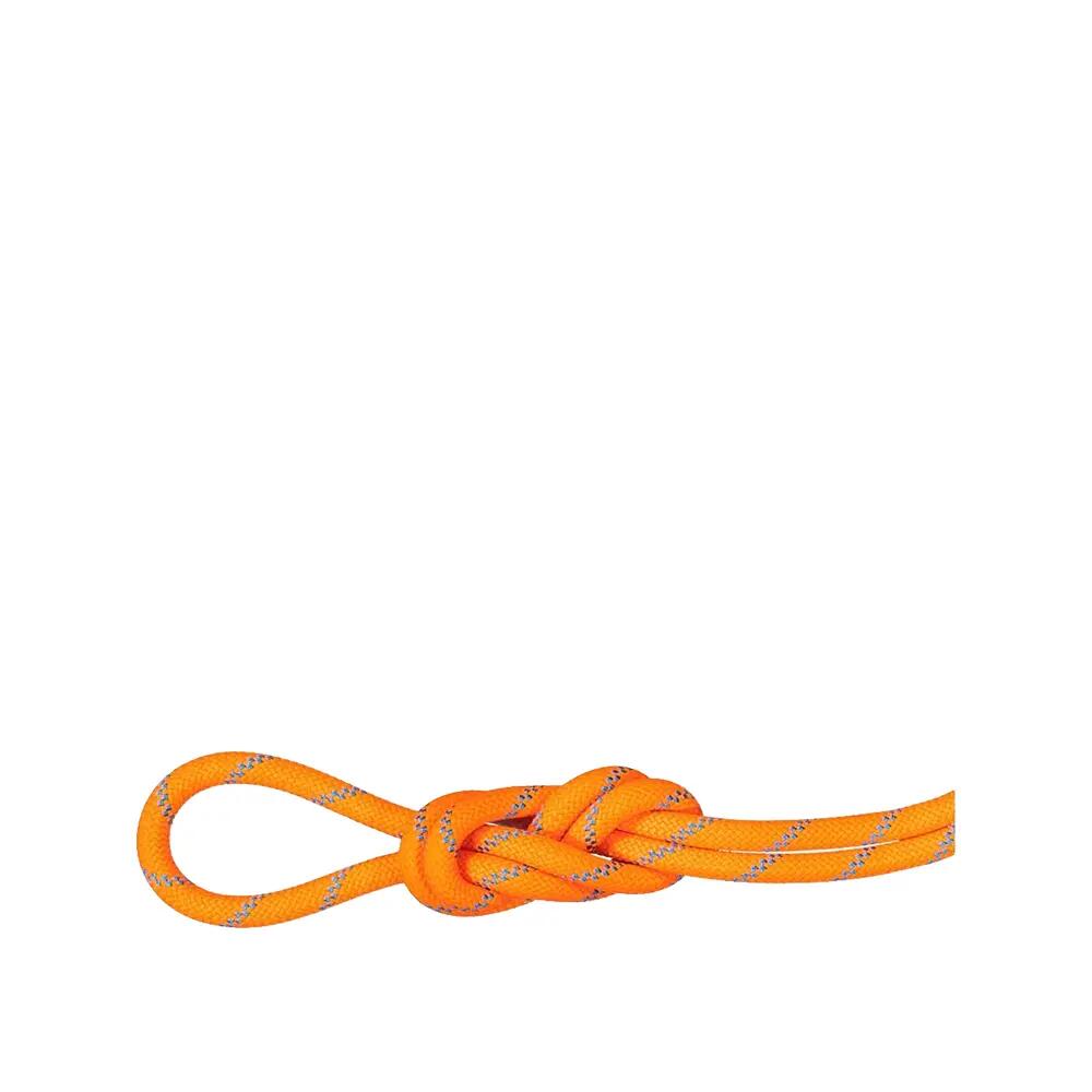 MAMMUT picture