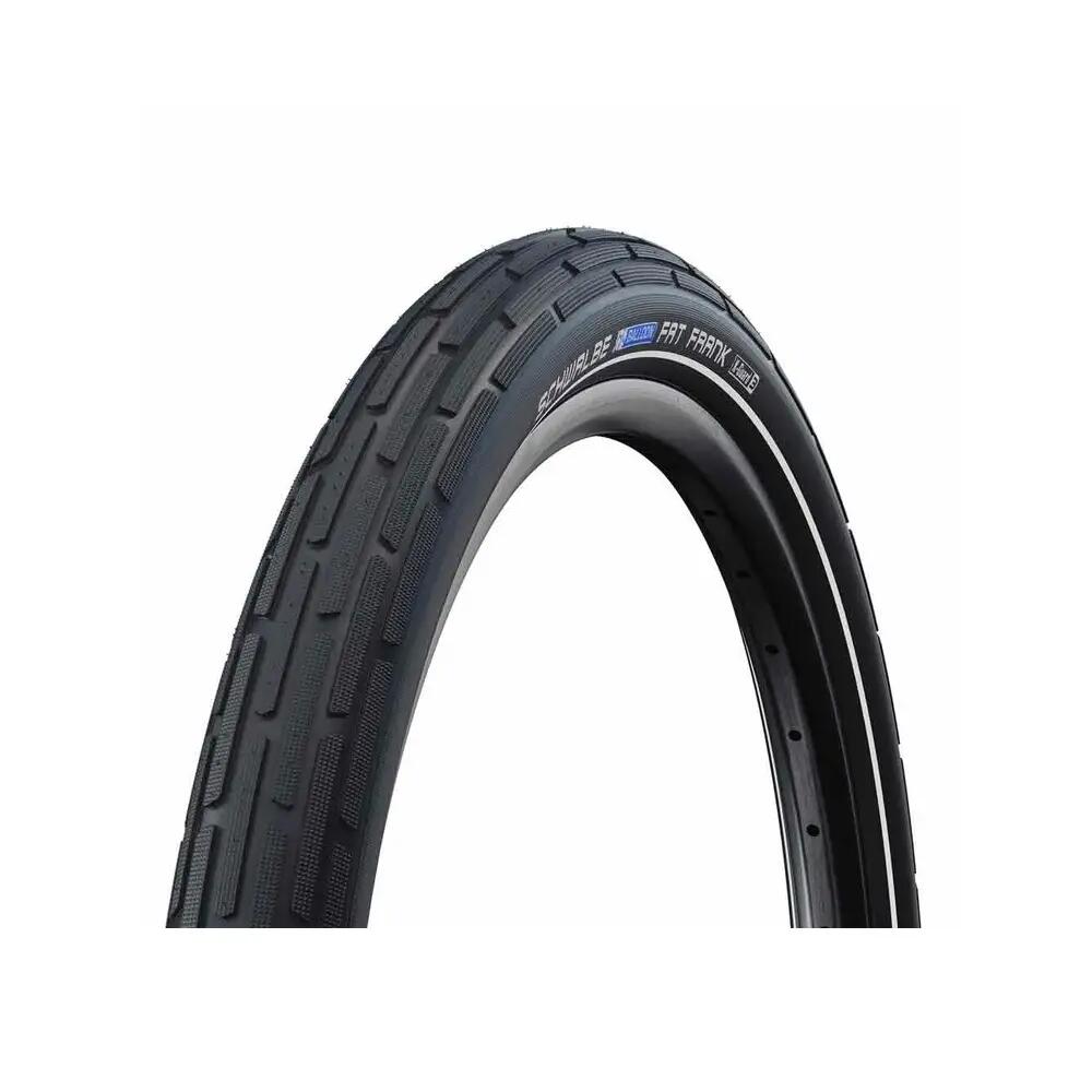 SCHWALBE picture