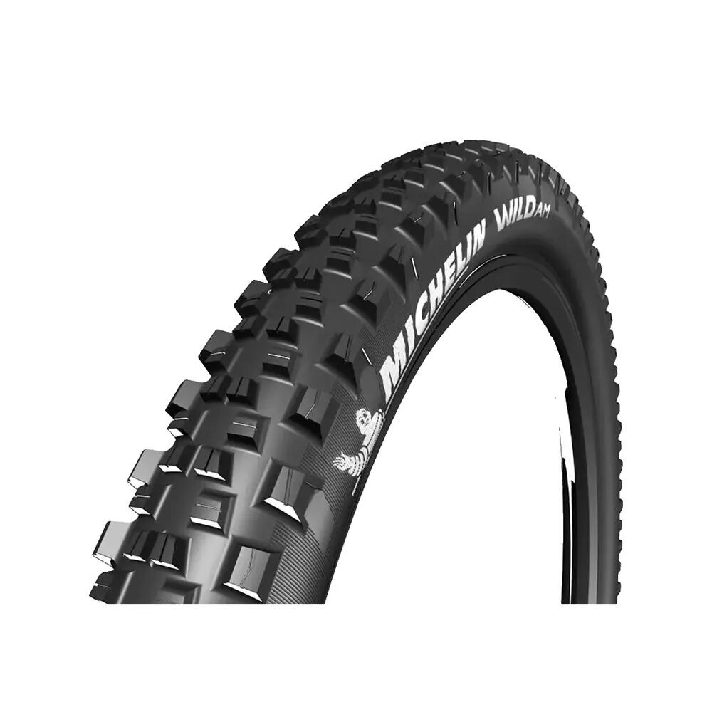 MICHELIN picture