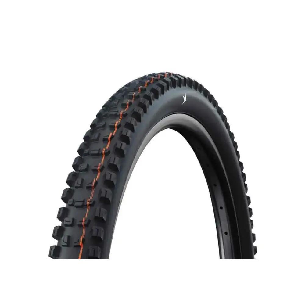 SCHWALBE picture