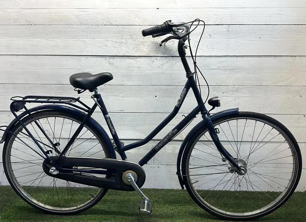 BATAVUS picture