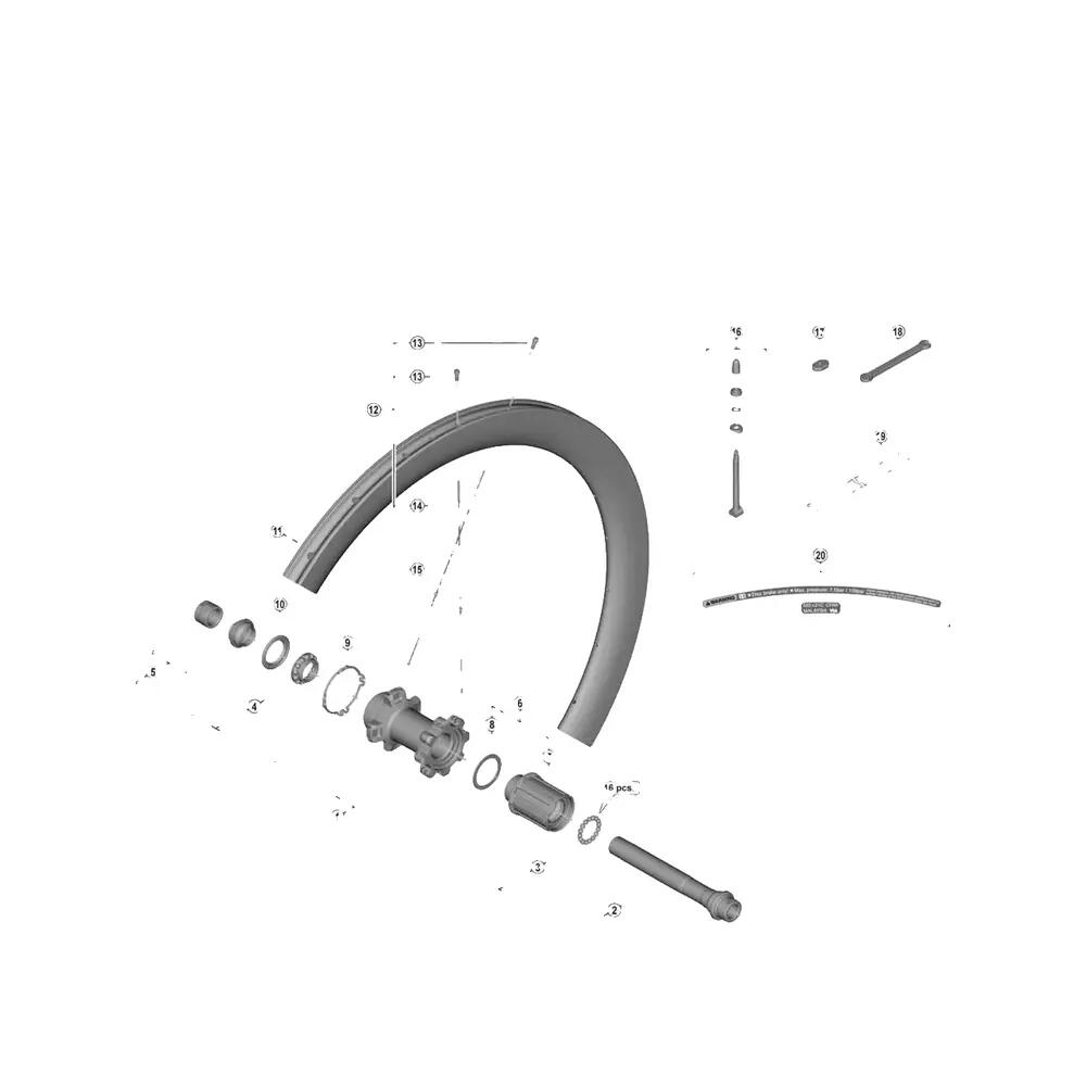 Rayons Shimano WH-R8170-C50-TL-R Zilver 1/2