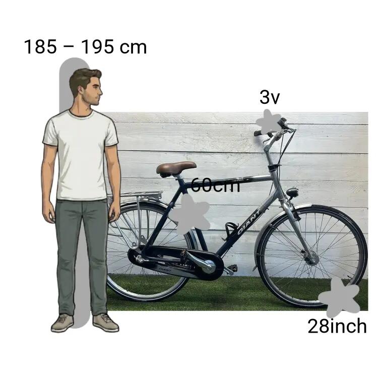 Bicicletta usata Giant Metro CS4 2/4