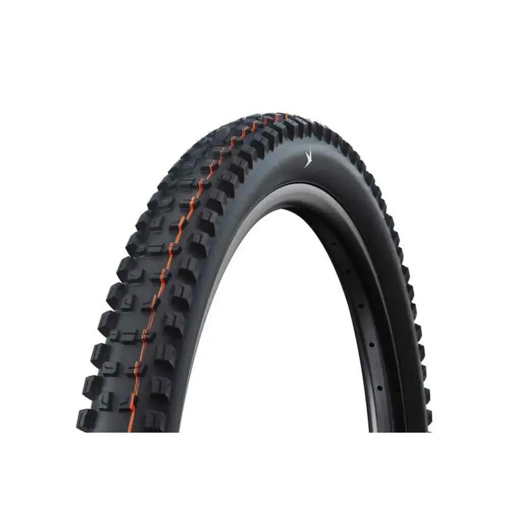 SCHWALBE picture