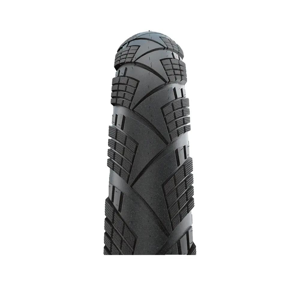 SCHWALBE picture