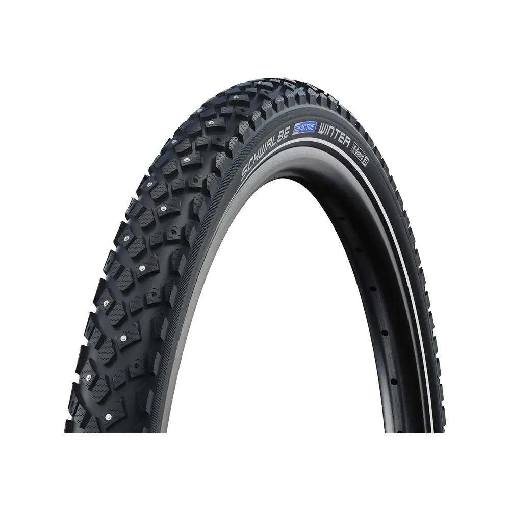 SCHWALBE picture