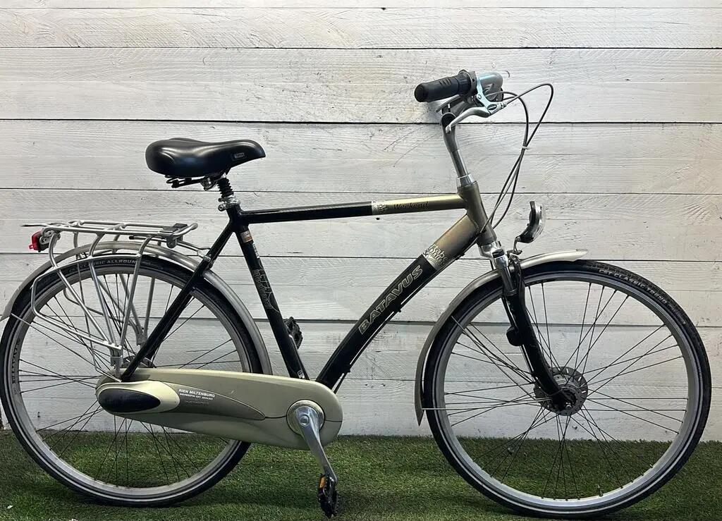 BATAVUS picture