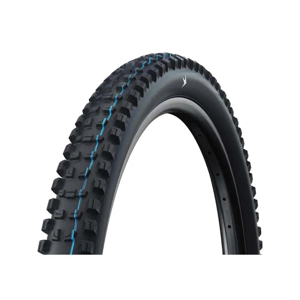 SCHWALBE picture