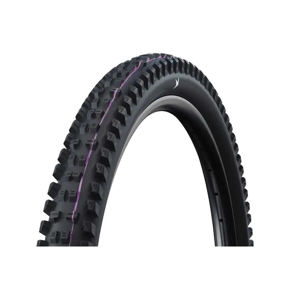 SCHWALBE picture