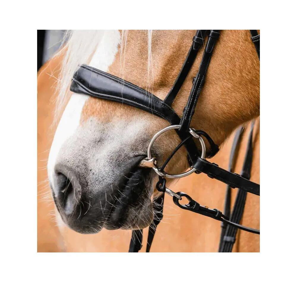 Gag Cheeks Sprenger Argent 4/4