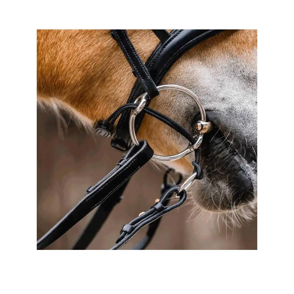 Gag Cheeks Sprenger Argent 2/4
