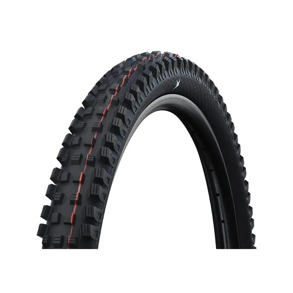 SCHWALBE picture