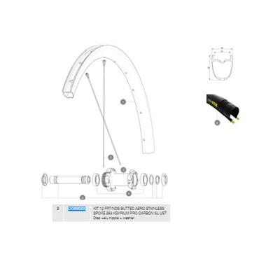 Rayons Mavic Ksyrium Pro Carbon SL UST Disc Sinistro