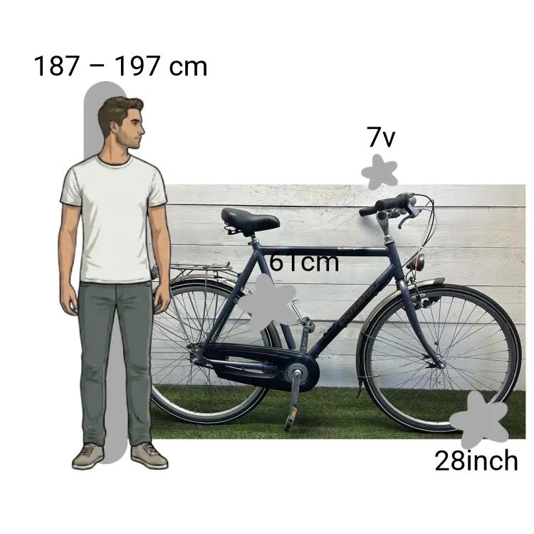 Bicicletta usata Gazelle Orange 2/4