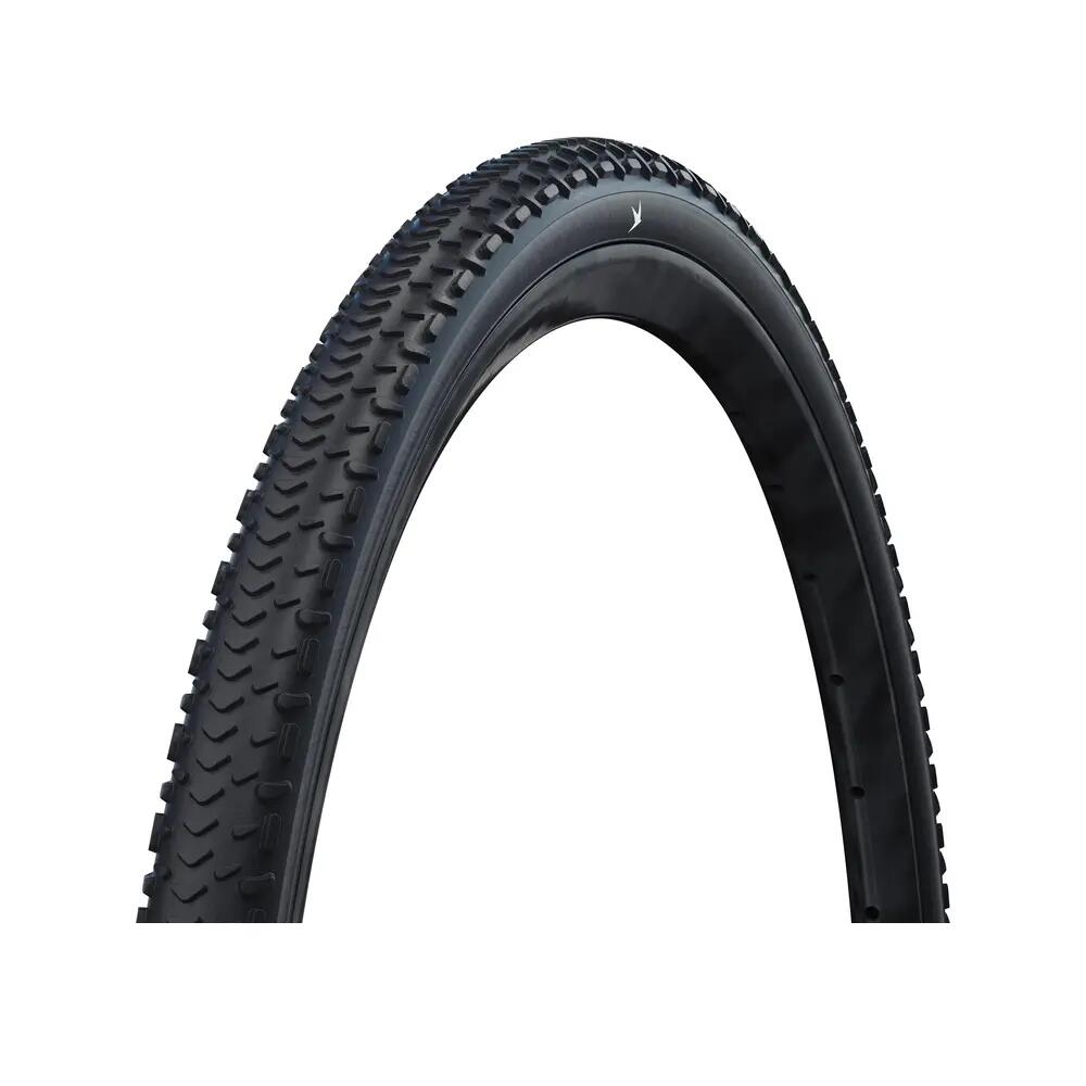 SCHWALBE picture
