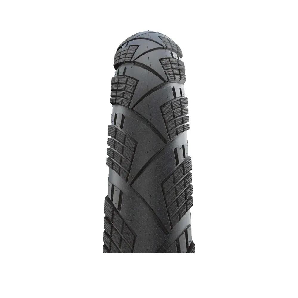 SCHWALBE picture