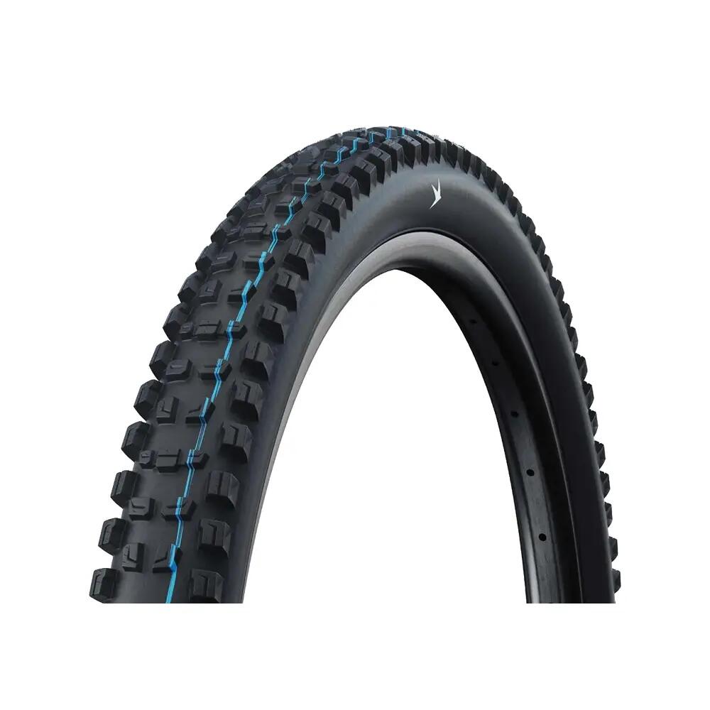SCHWALBE picture