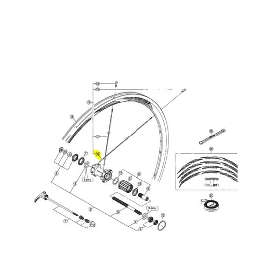 Vélo de route Shimano RS31 Rayons arrière gauche