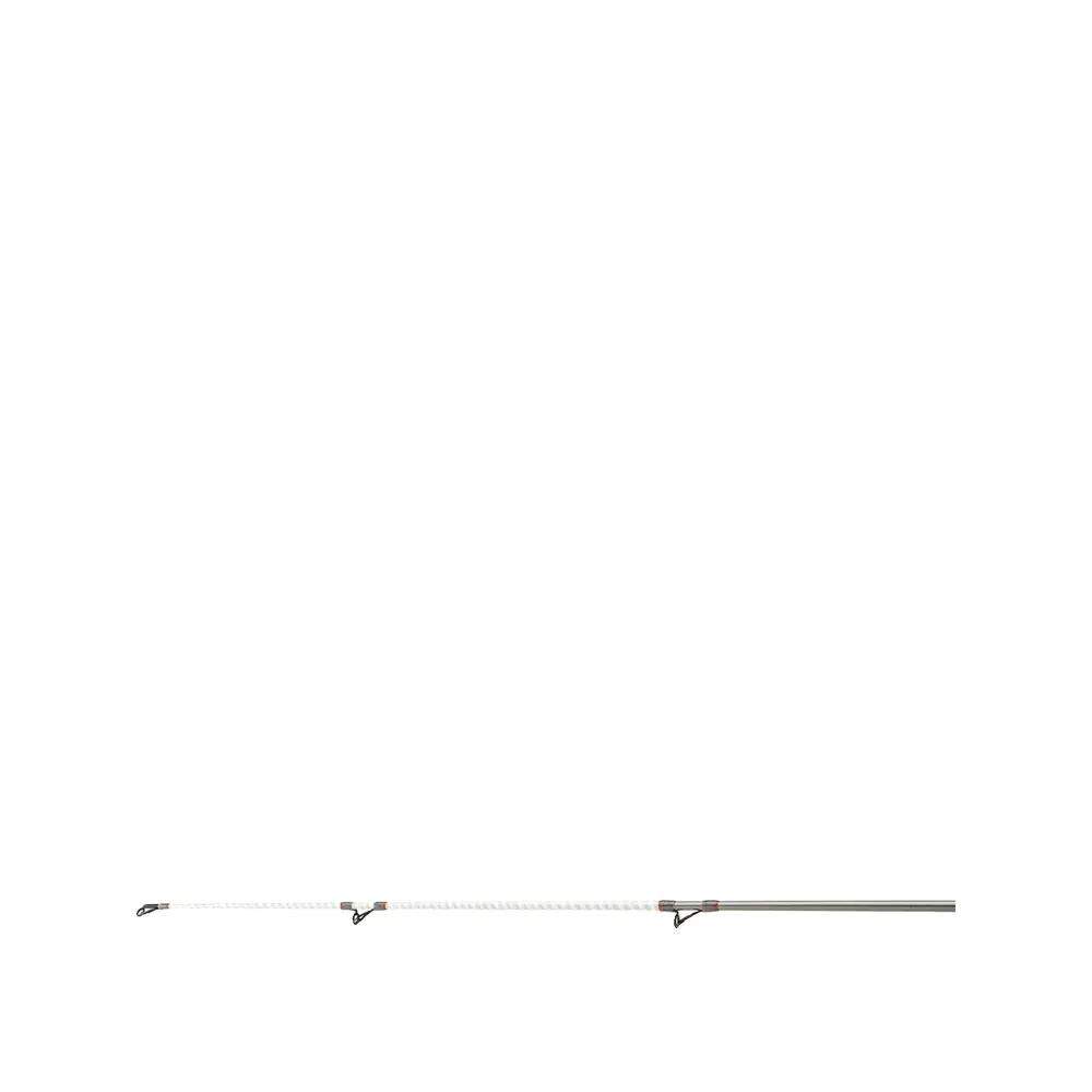 Canne de surfcasting Daiwa Crosscast 4/4