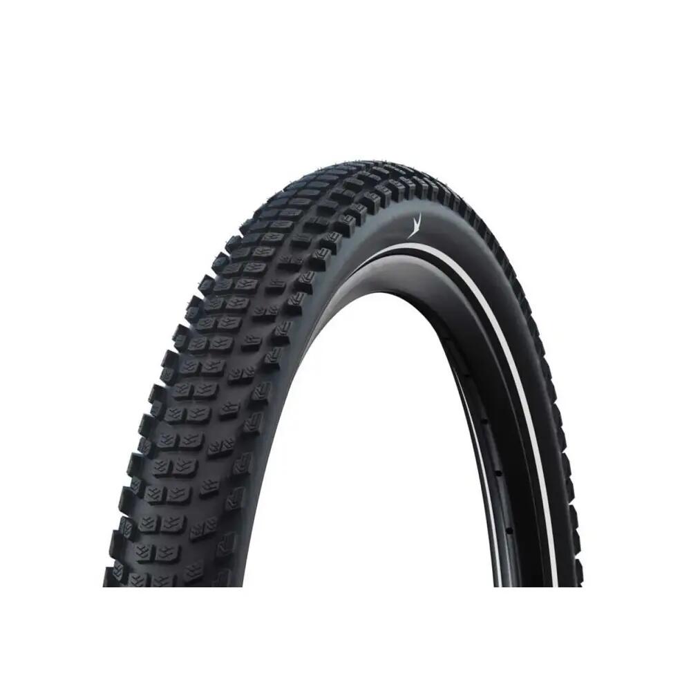 SCHWALBE picture
